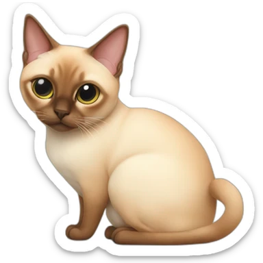 fat red point siamese sticker