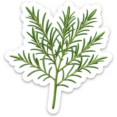 Rosemary sticker