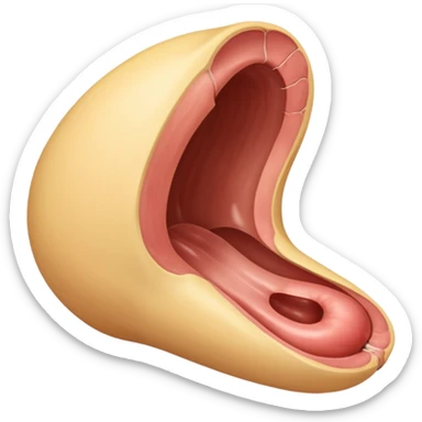 Anal sticker