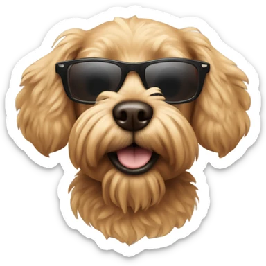 caniche brown dog with sunglasses on sticker
