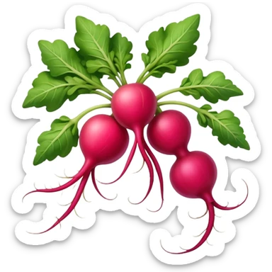 Tillage Radish sticker