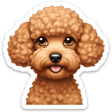 Apricot coloured toy Poodle  sticker