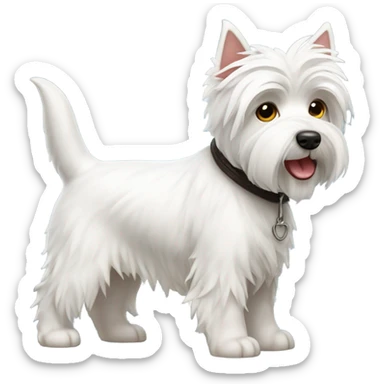 West highland terrier sticker