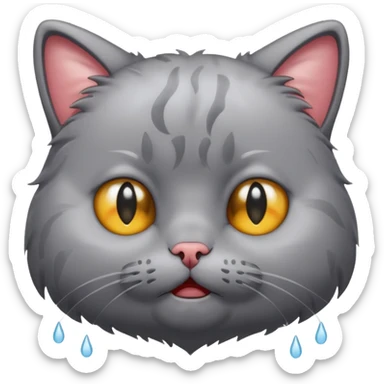crying cat sticker