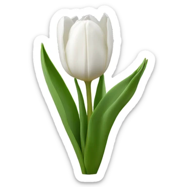 White tulips  sticker