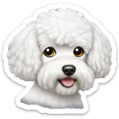 Bichon maltais sticker