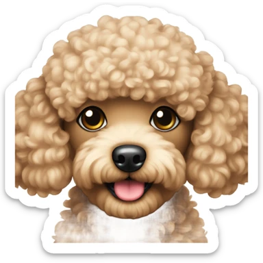 Toy poodle  sticker
