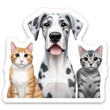 Blue Merle Great Dane next to two tabby cats and one black cat sticker