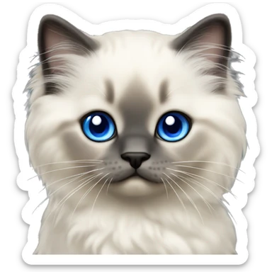 Seal colorpoint ragdoll kitten with sapphire blue eyes sticker