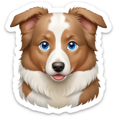white and light brown australian shepherd with blue eyes sticker