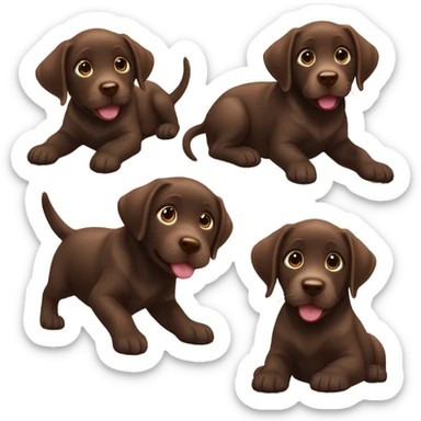 chocolate lab puppy litter  sticker