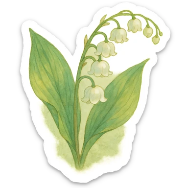 lily of the valley flower, natural colors, soft, fairy-like atmosphere, no background, square size sticker
