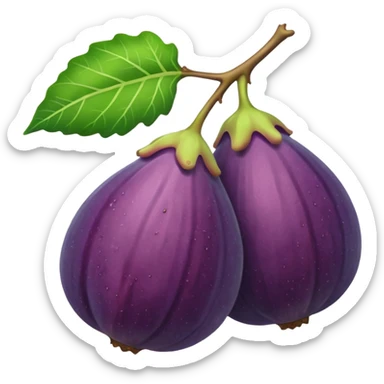 fig fruit sticker