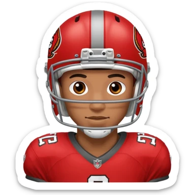 Tampa buccaneers  sticker