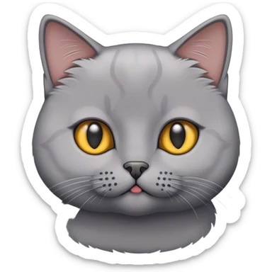 A British short hair cat sticker