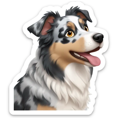 Blue Merle Australian shepherd mixed with a husky sticker