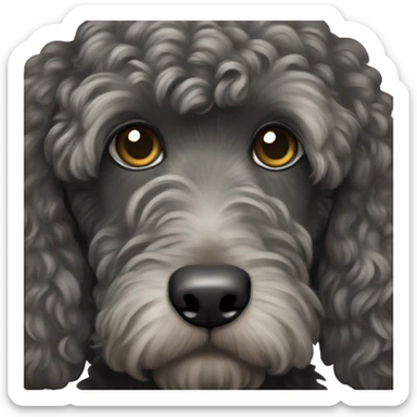 Black cockapoo sticker