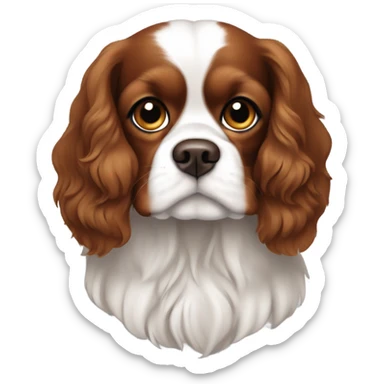 King Charles Cavalier all one color brown no white sticker