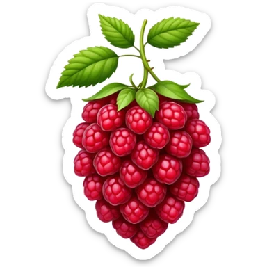 Framboise  sticker