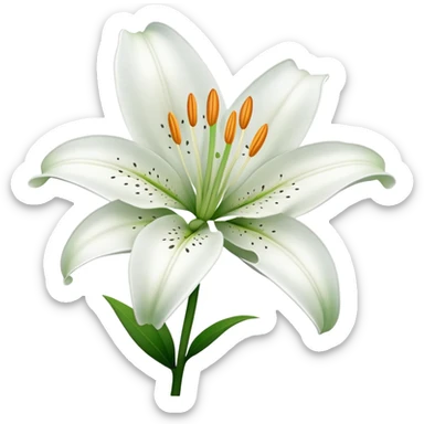 Botanically accurate white lily flower with exactly six petals, six stamens, and green stem sticker