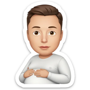 Elon musk pregnant sticker