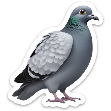 Pigeon sitting down sticker