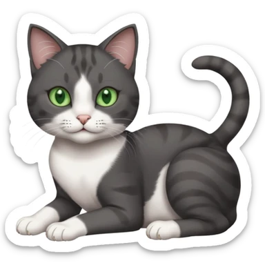 beautiful female solid dark grey cat with green eyes, white toes/paws and white patch on her chest rolling over sticker