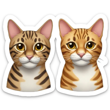 Two Bengal cats of different colours. sticker