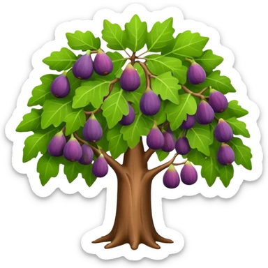 fig tree  sticker