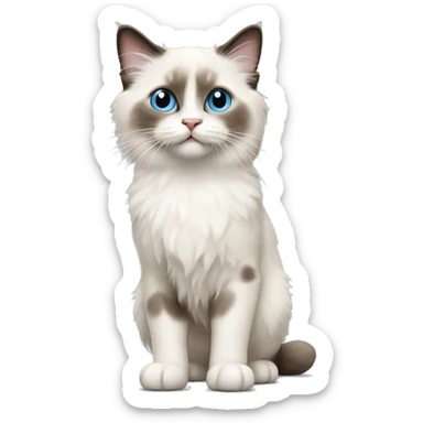 Ragdoll kitten standing sticker