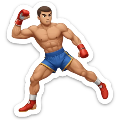 fighter kicking sticker