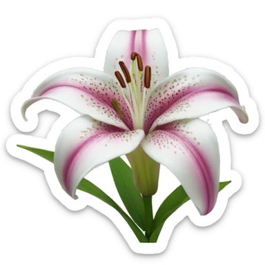 oriental lily  sticker