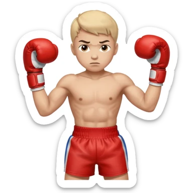 young boy professional boxer sticker