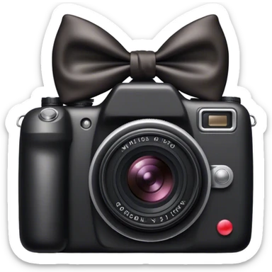 Камера с бантиком sticker