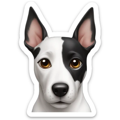 Black and white mix of a jack russel and a bullterrier with raised ears sticker
