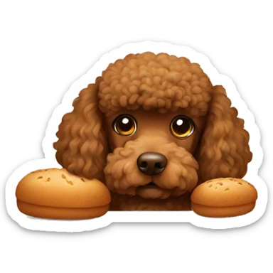 Brown Poodle eating with bread  sticker