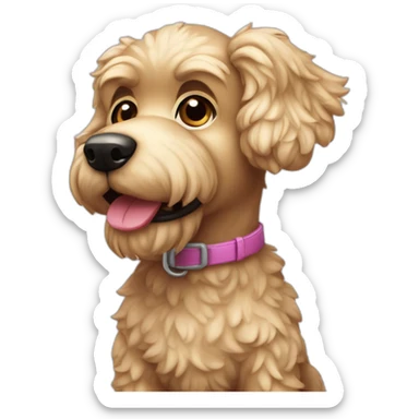 caniche toy perro que se llama pool sticker