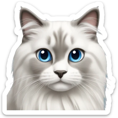 blue eyed ragdoll cat with white and grey fur sitting down sticker
