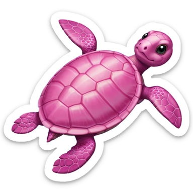 a pink turtle sticker