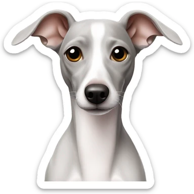 White Italian greyhound sticker