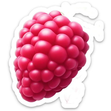 raspberry sticker