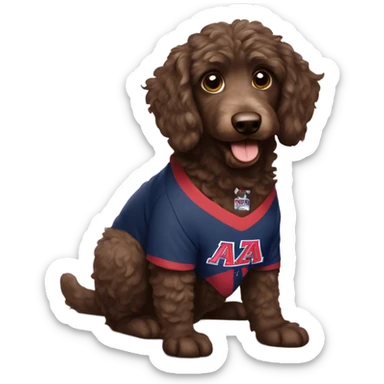 Chocolate Aussie doodle wearing a University of Arizona T-Shirt sticker