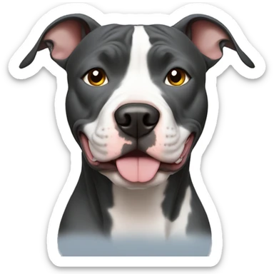 Blue nose pitbull sticker