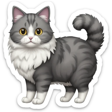 full body half dark grey and half white cat with white front legs sticker