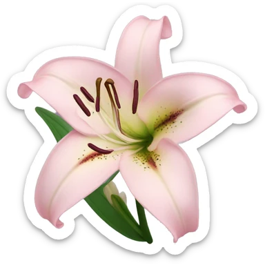 light pink lilium sticker