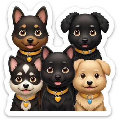 Four Dogs selling a black dog with a collar sticker