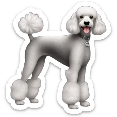Dog Standart Poodle full body sticker