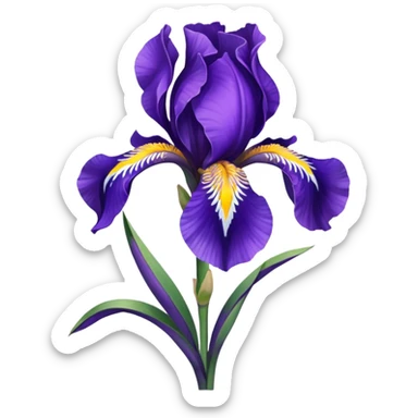 Realistic Still life detailed Iris sibirica sticker