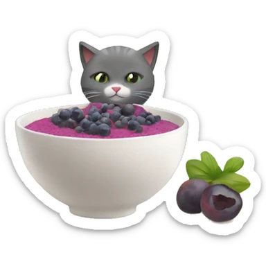 create a fit cat drinking acai from a bowl sitting on the beach sticker