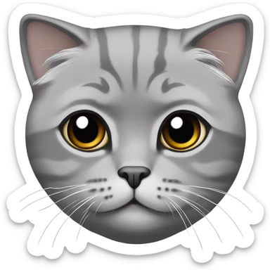 solid Grey scottish fold cat sticker